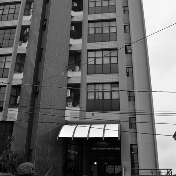 Ano 2005